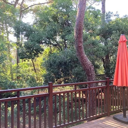 Ferienhaus Maison Bois Dans Les 44 Hectares, Cap-ferret