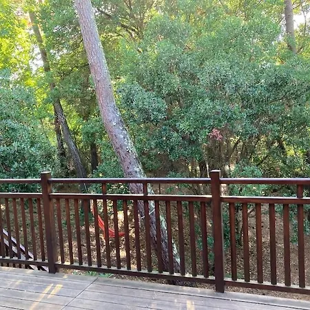 Maison Bois Dans Les 44 Hectares, Cap-ferret Lège-Cap-Ferret