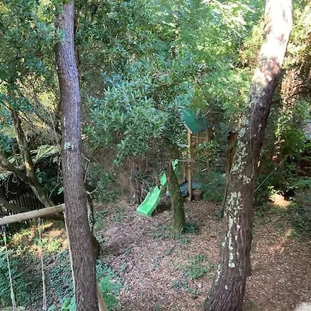 Maison Bois Dans Les 44 Hectares, Cap-ferret *