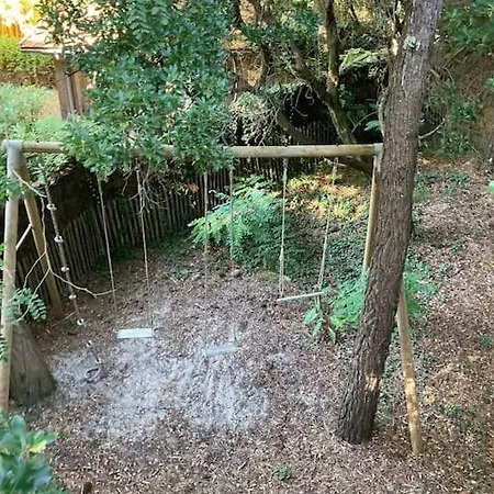 Maison Bois Dans Les 44 Hectares, Cap-ferret *