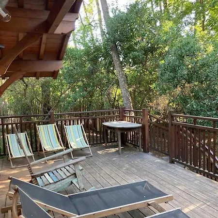 Maison Bois Dans Les 44 Hectares, Cap-ferret Lege-Cap-Ferret